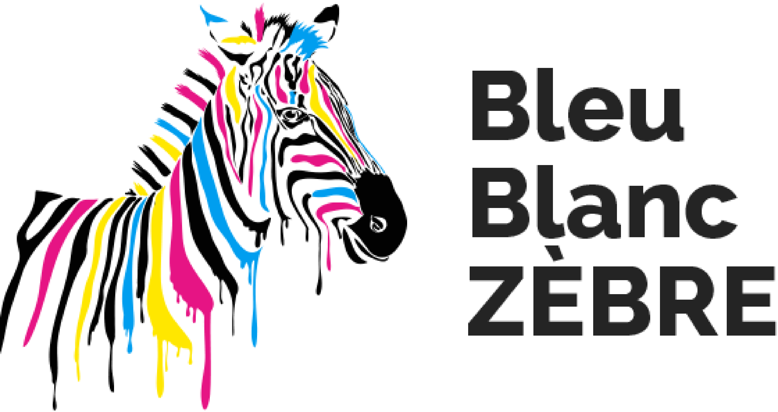 Bleu Blanc Zèbre logo HD (002)